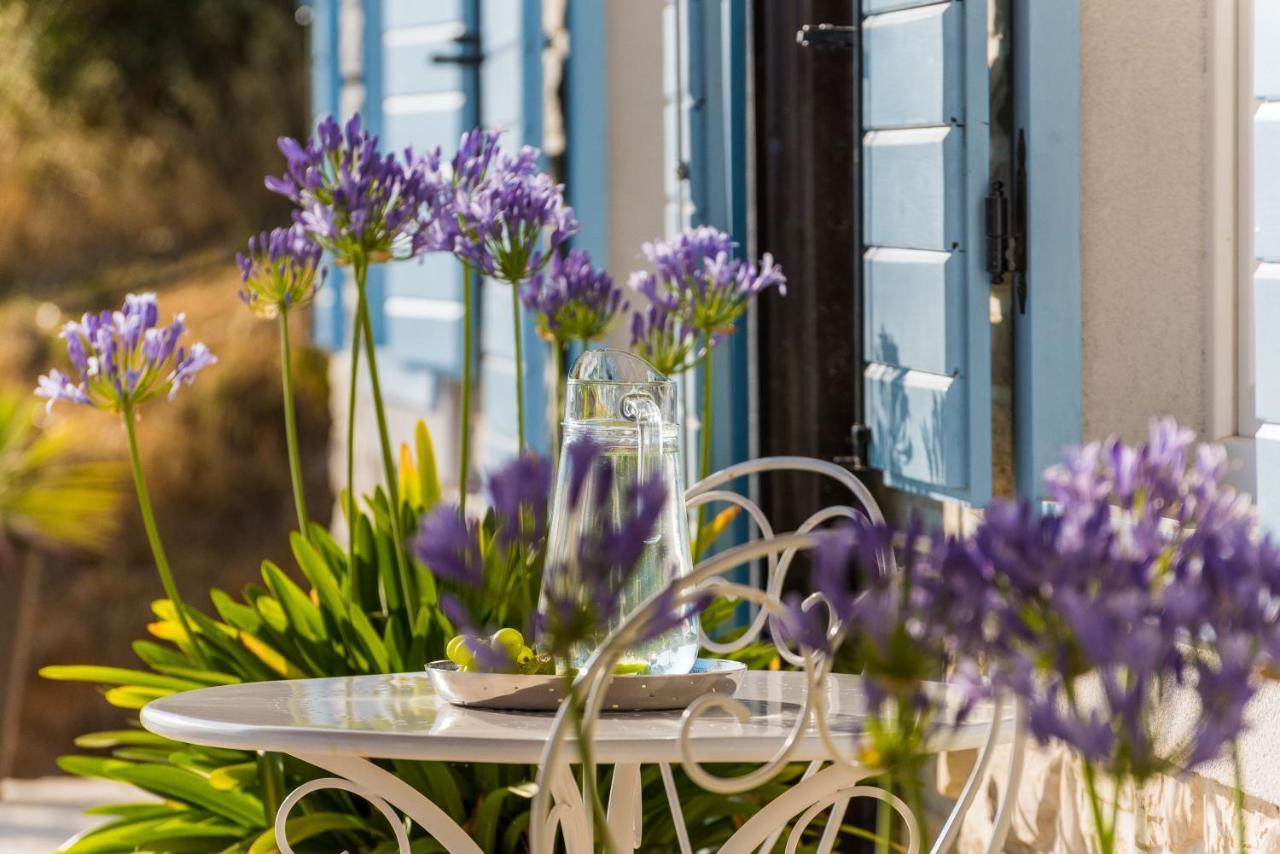 Brand New Villa Cara D Oro, Vrana Vrana  外观 照片