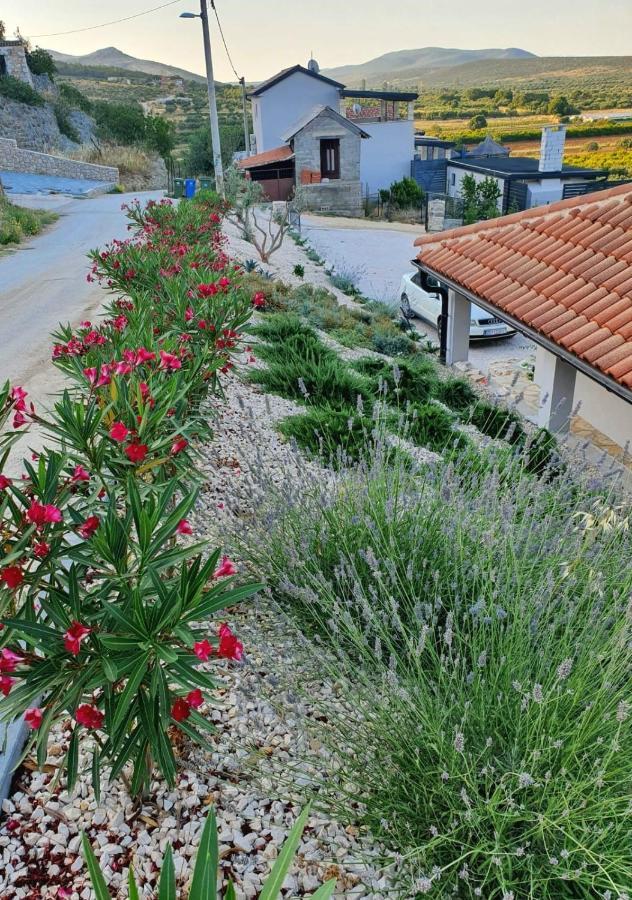 Brand New Villa Cara D Oro, Vrana Vrana  外观 照片